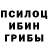 Галлюциногенные грибы Cubensis Dildora Ramanova