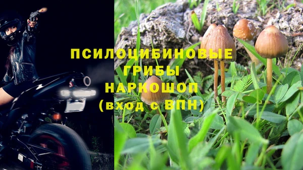 а пвп мука Алзамай