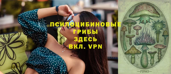 PSILOCYBIN Алексеевка