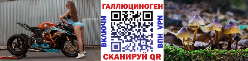 наркота Зверево Псилоцибиновые грибы мицелий
